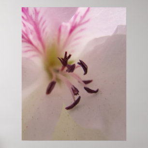 Geranium Print