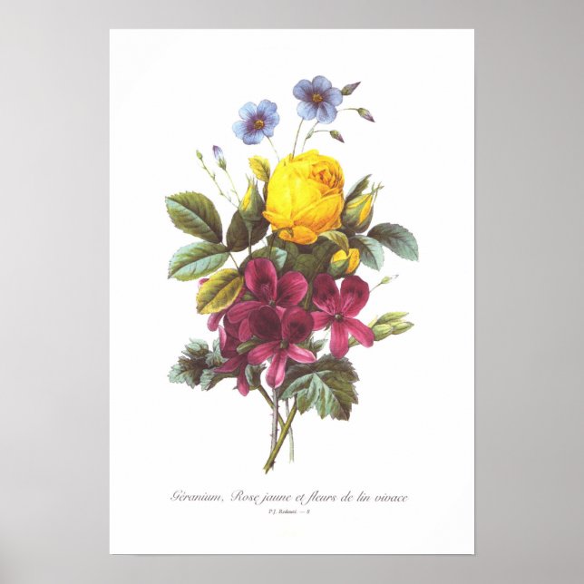 Geranium,Rose and Flax Poster (Front)