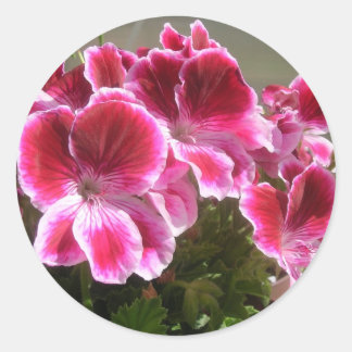 Geranium stickers
