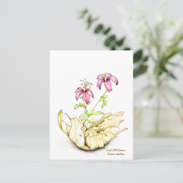 Geranium wildflower watercolor postcard (Standing Front)