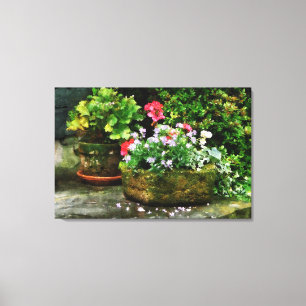 Geraniums and Lavender Flowers Canvas Print