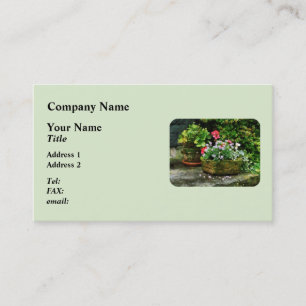 Geraniums and Lavender Flowers on Stone Steps Business Card