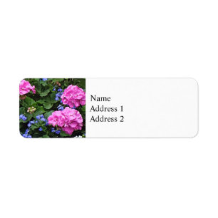 Geraniums and Periwinkle