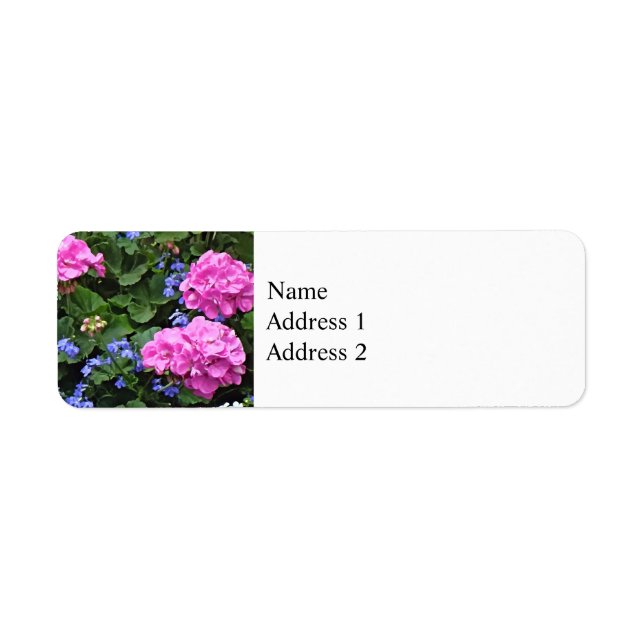 Geraniums and Periwinkle (Front)