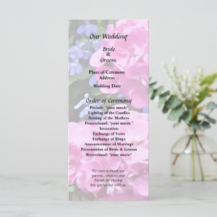 Geraniums and Periwinkle Programme