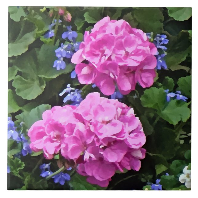 Geraniums and Periwinkle Tile (Front)