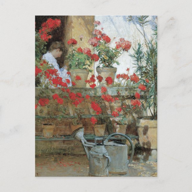 Geraniums by Childe Hassam, Vintage Impressionism Postcard (Front)