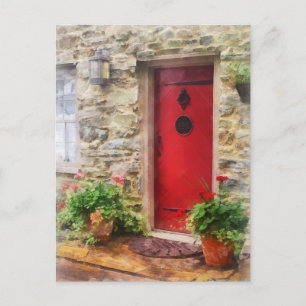 Geraniums by Red Door Postcard