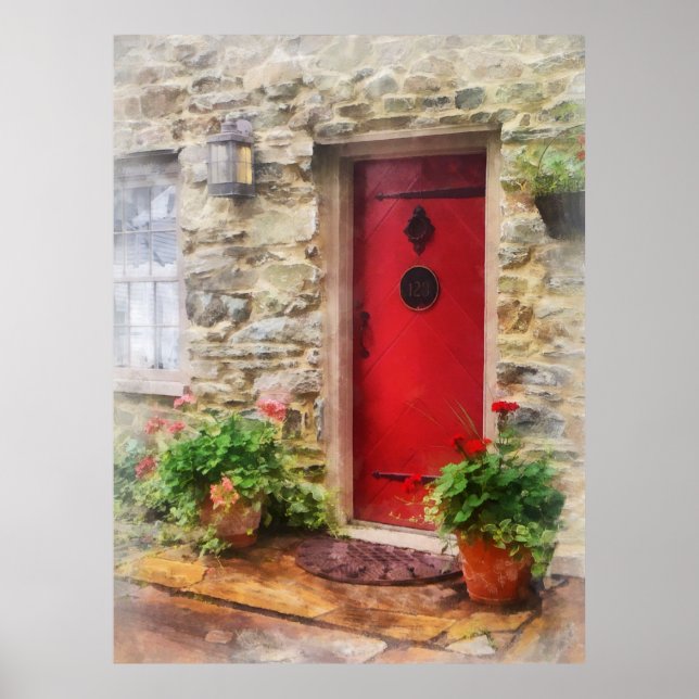 Geraniums by Red Door Poster (Front)
