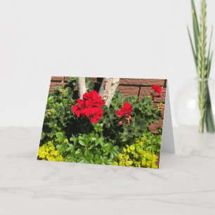 Geraniums Card