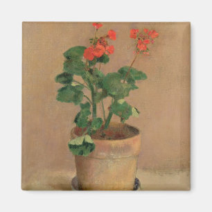 Geraniums in a Pot, c.1905 (oil on canvas) Magnet