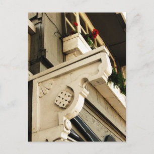 Geraniums Postcard