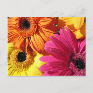 gerber-4 postcard