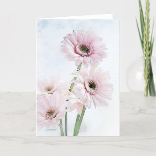 Gerber Daisies - Etsy Card