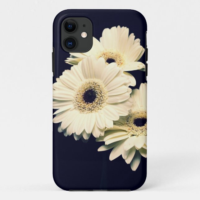 Gerber Daisies iPhone 5 Case (Back)