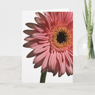 Gerber Daisy #2 Card