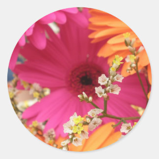 Gerber Daisy Classic Round Sticker