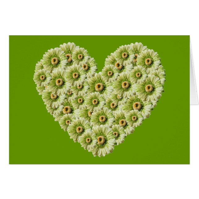 Gerber Daisy Heart (Front Horizontal)