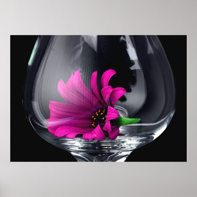 Gerber Daisy in Wine Glass POSTER or CARD (Front)