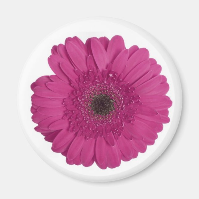 Gerber Daisy Magnet (Front)