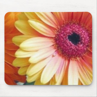Gerber Daisy Mousepad