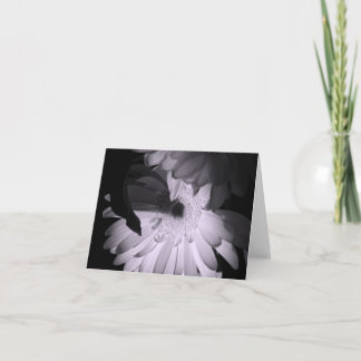 'Gerber Poetry'  Blank Note Card