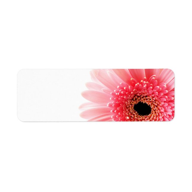 Gerbera (Front)