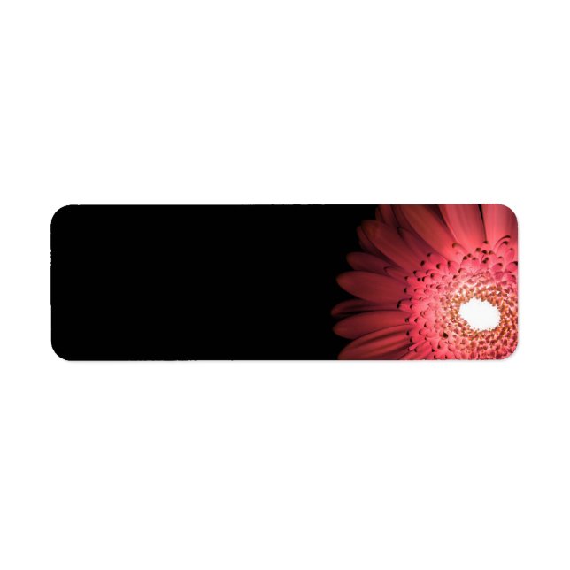Gerbera (Front)