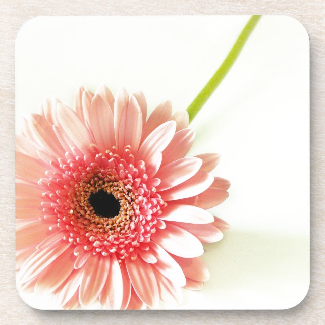 Gerbera Coaster (Front)