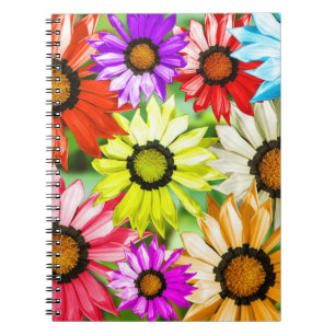 Gerbera colourful flowers notebook