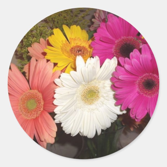 Gerbera Daisies 017 Classic Round Sticker (Front)