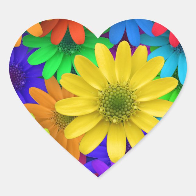 Gerbera Daisies Heart Sticker (Front)