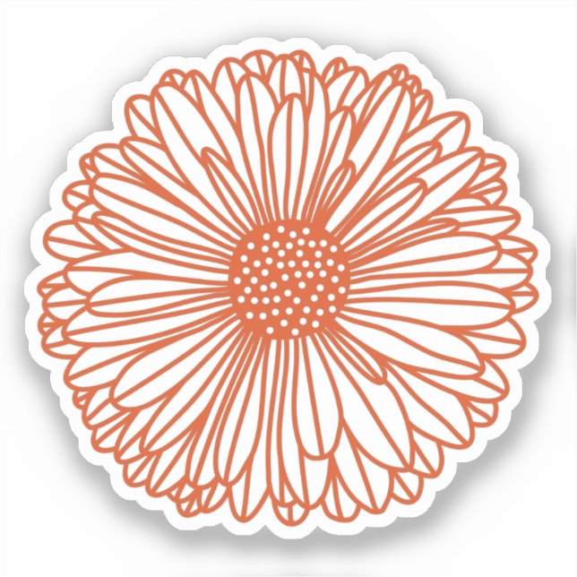 Gerbera Daisy (Front)