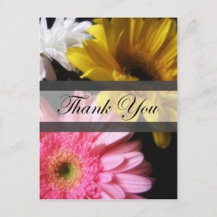 Gerbera Daisy 8 Thank You Postcard
