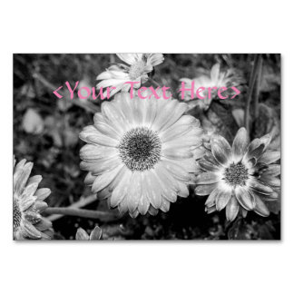 Gerbera Daisy Black & White Photograph Table Number
