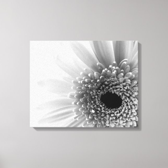 Gerbera Daisy Canvas Print (Front)