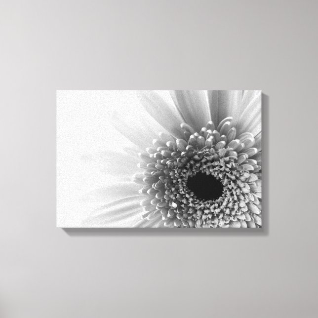 Gerbera Daisy Canvas Print (Front)