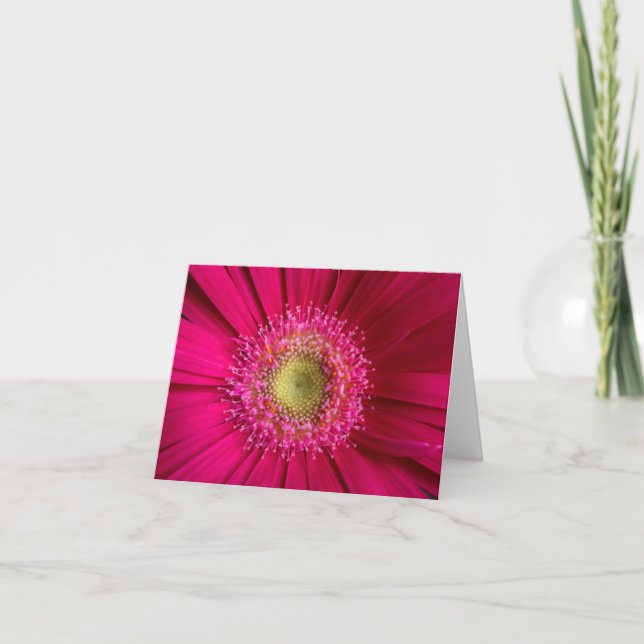 Gerbera Daisy Card (Front)