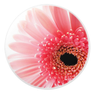 Gerbera Daisy   Ceramic Knob