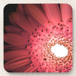 Gerbera Daisy Coaster