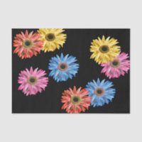 Gerbera Daisy Colourful Simple Pretty Gerber