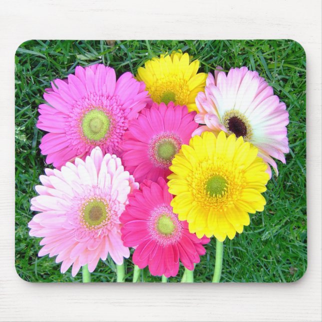 Gerbera Daisy Colours Mousepad (Front)