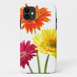 Gerbera Daisy Delight Case-Mate iPhone Case