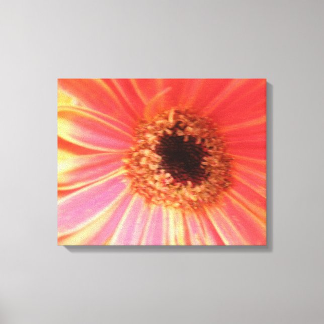 Gerbera Daisy Flower Canvas Print (Front)
