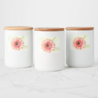 Gerbera Daisy