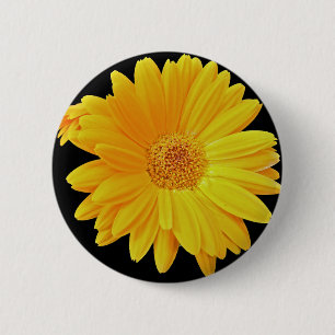 Gerbera Daisy (Gerbera hybrida) - Yellow 6 Cm Round Badge