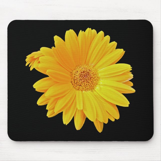 Gerbera Daisy (Gerbera hybrida) - Yellow Mouse Pad (Front)