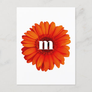 Gerbera Daisy Monogram Initial Postcard