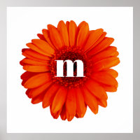 Gerbera Daisy Monogram Initial