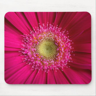 Gerbera Daisy Mouse Pad